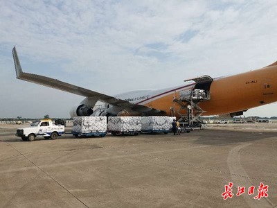 跨境生鮮提速 境外三文魚首次乘全貨機飛抵武漢，助力餐桌更鮮