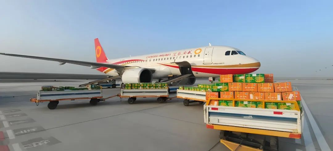 阿拉爾機(jī)場(chǎng)建設(shè)航空貨運(yùn)代理業(yè)務(wù)即將開啟!
